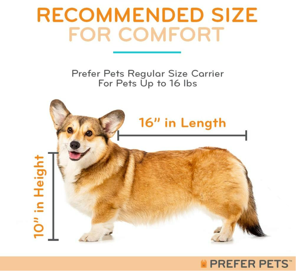 Fabric Pet Carrier