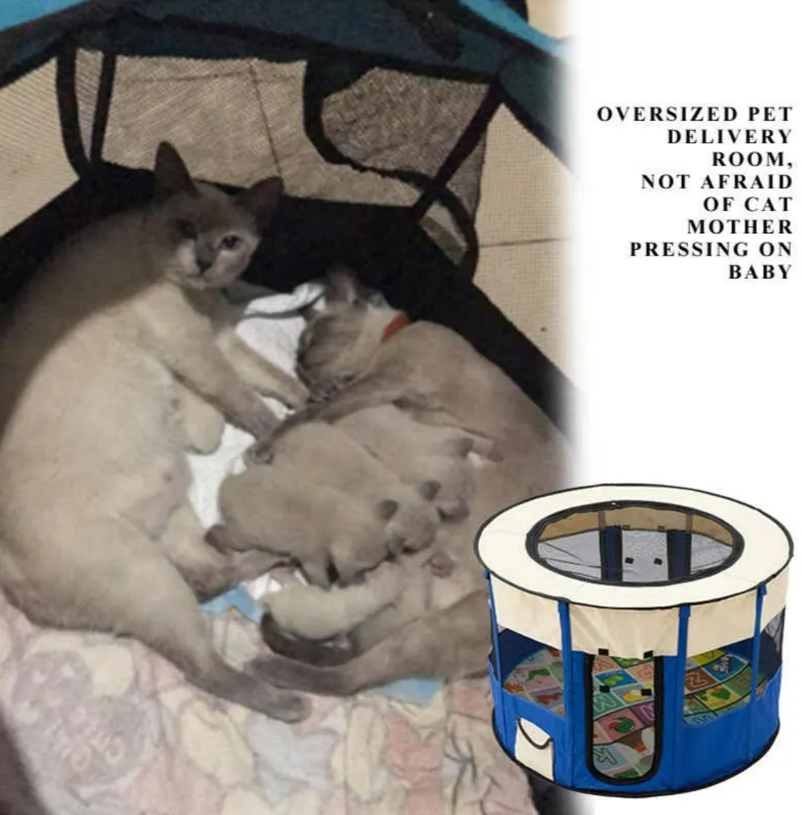 Collapsible Cat & Dog Tent