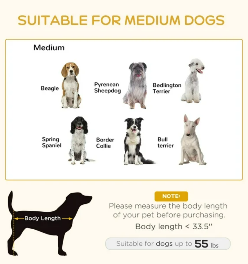Elevated Dog Bed with Storage