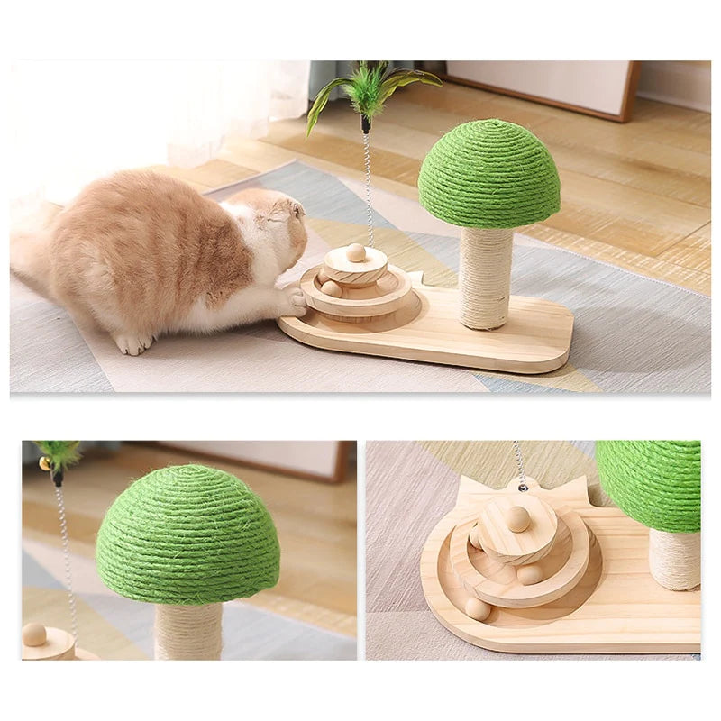 2-in-1 Cat Scratcher & Ball Game
