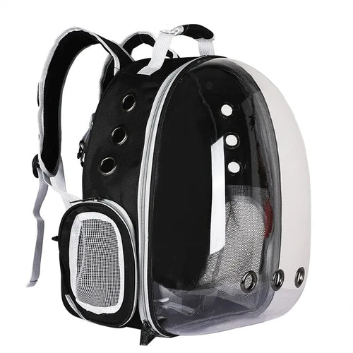 Cat & Small Dog Backpack