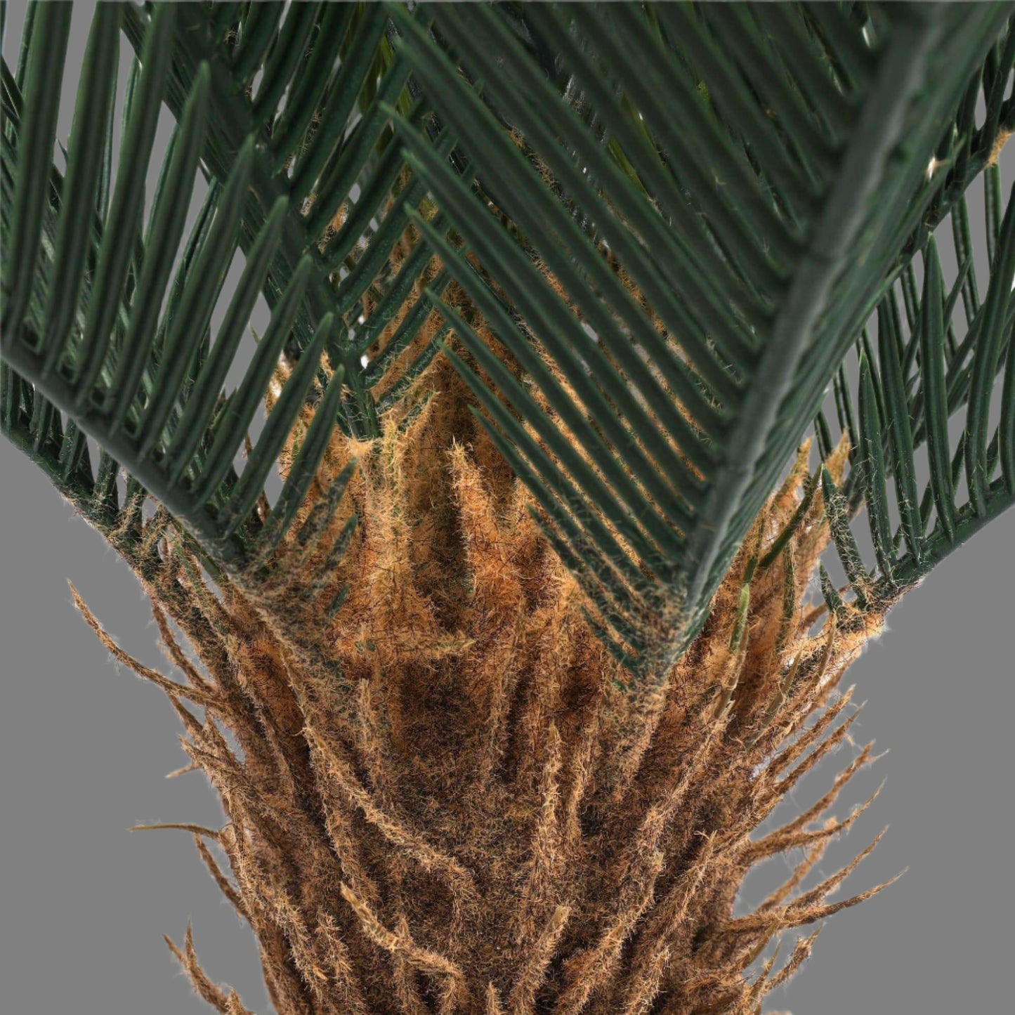 Potted Artificial Cycad Plant