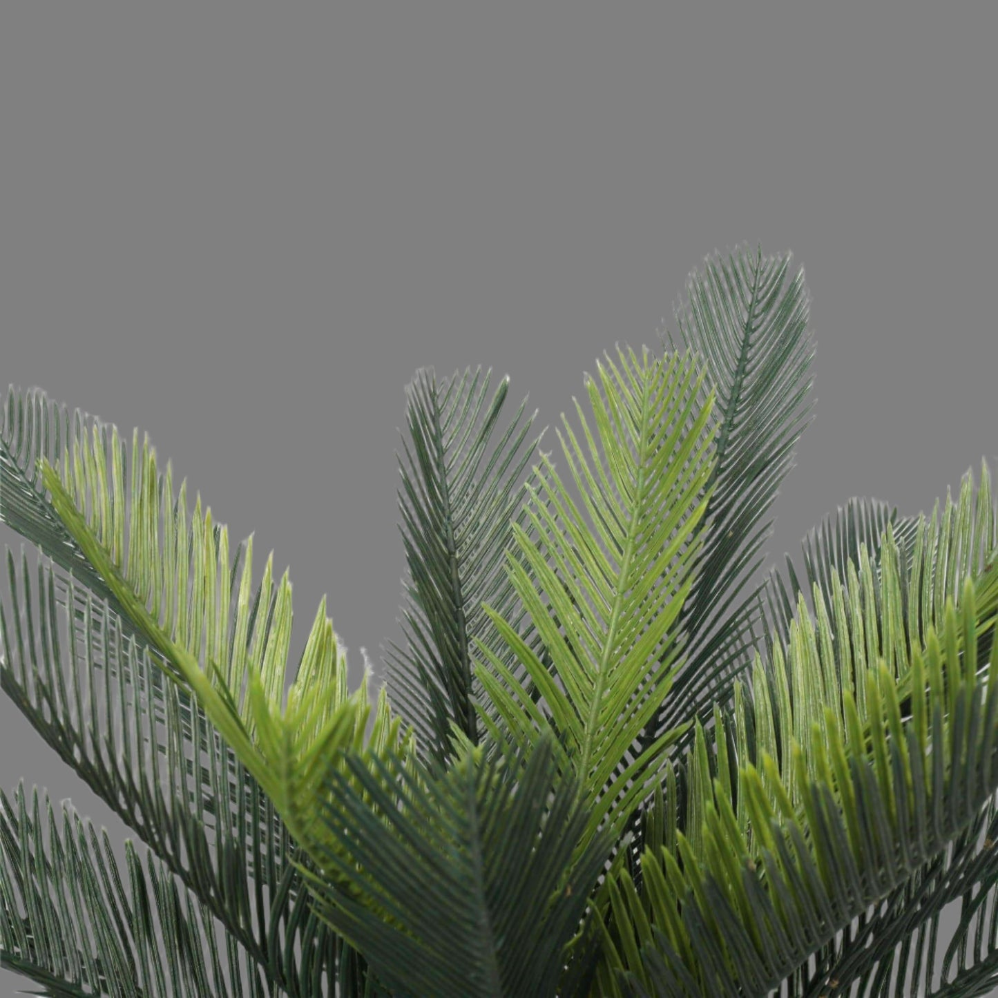 Potted Artificial Cycad Plant
