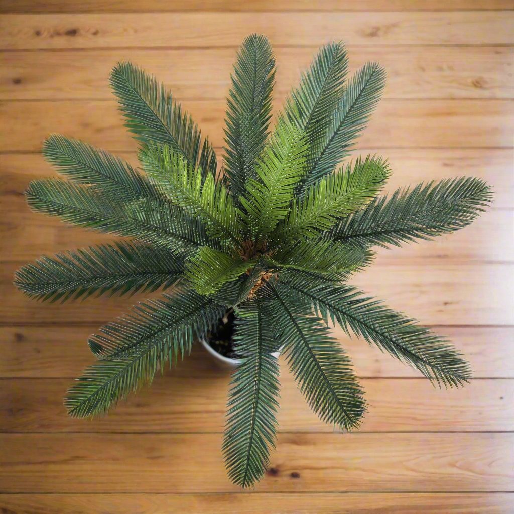 Potted Artificial Cycad Plant