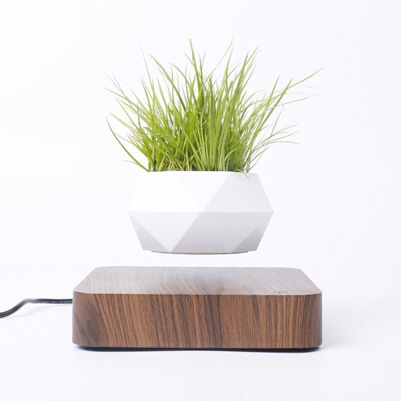 Magic Levitating Bonsai Flower Pot
