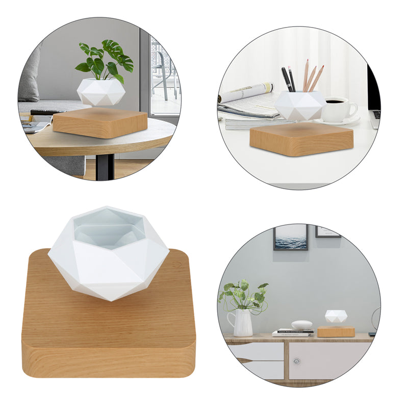 Magic Levitating Bonsai Flower Pot