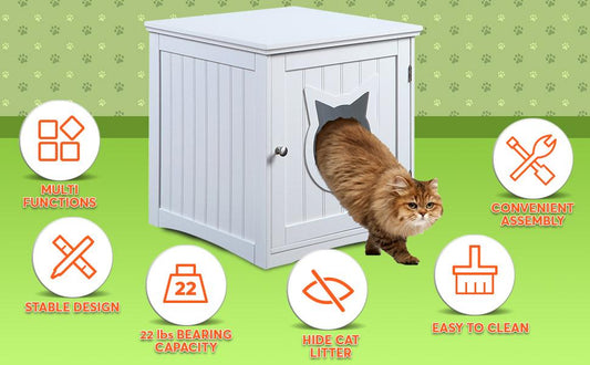 2-in-1 End Table and Cat House