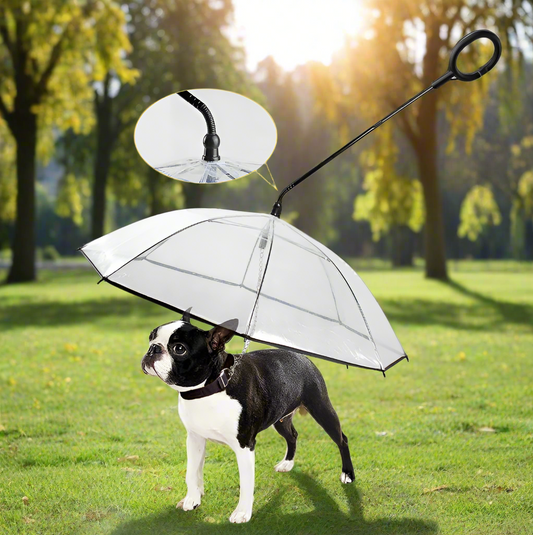 Dog Leash Umbrella