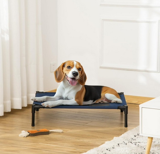 Elevated Canvas Dog Bed