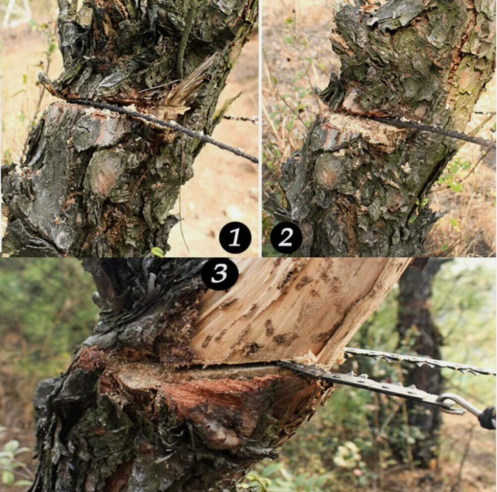 Pocket Chain Saw