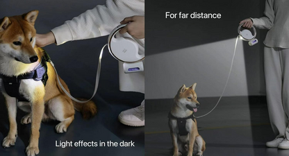 Retractable Dog Leash with LED Light