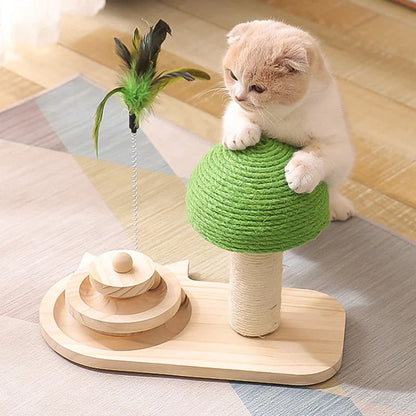 2-in-1 Cat Scratcher & Ball Game