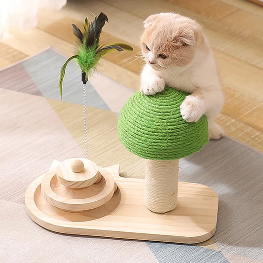 2-in-1 Cat Scratcher & Ball Game