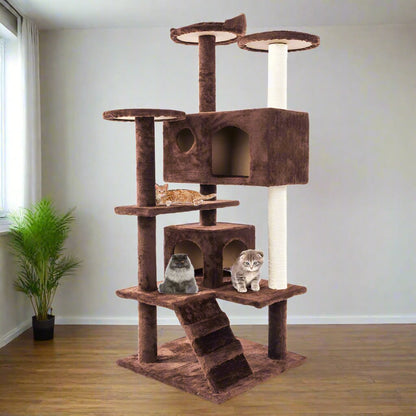 Multi-Level Cat Tree