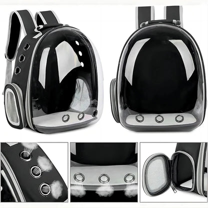Cat & Small Dog Backpack