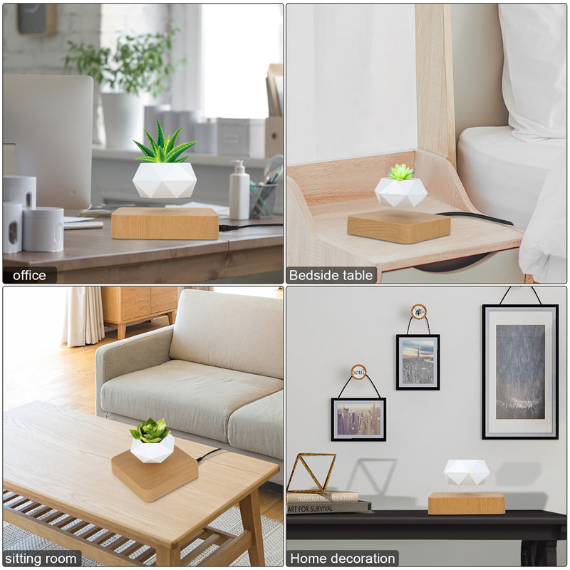 Magic Levitating Bonsai Flower Pot