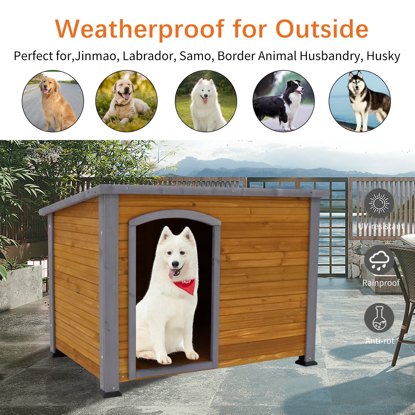 Solid Wood Dog House