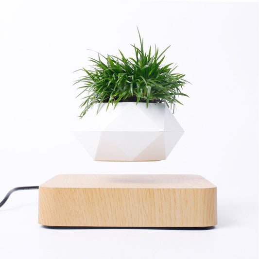 Magic Levitating Bonsai Flower Pot