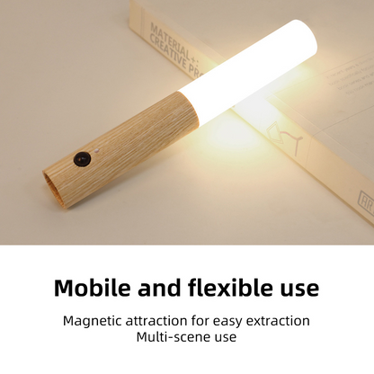 3-in-1 Rechargeable LED Light